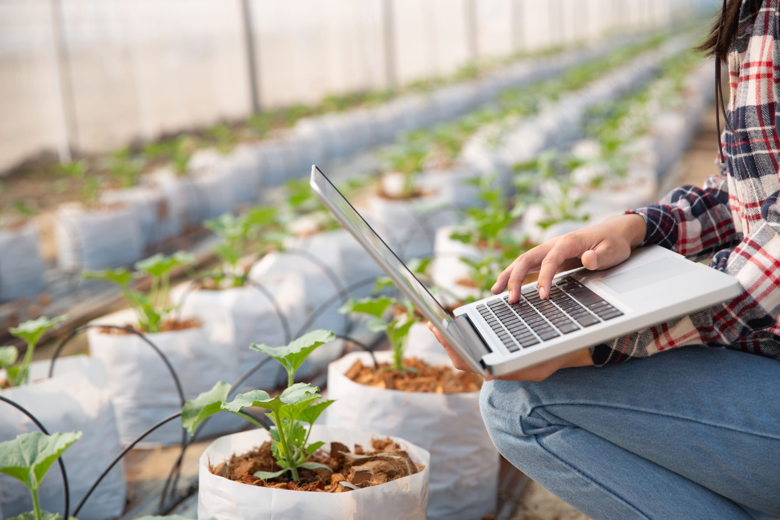 Read more about the article Emissão da NFP-e do produtor rural será obrigatória a partir de 1º de maio